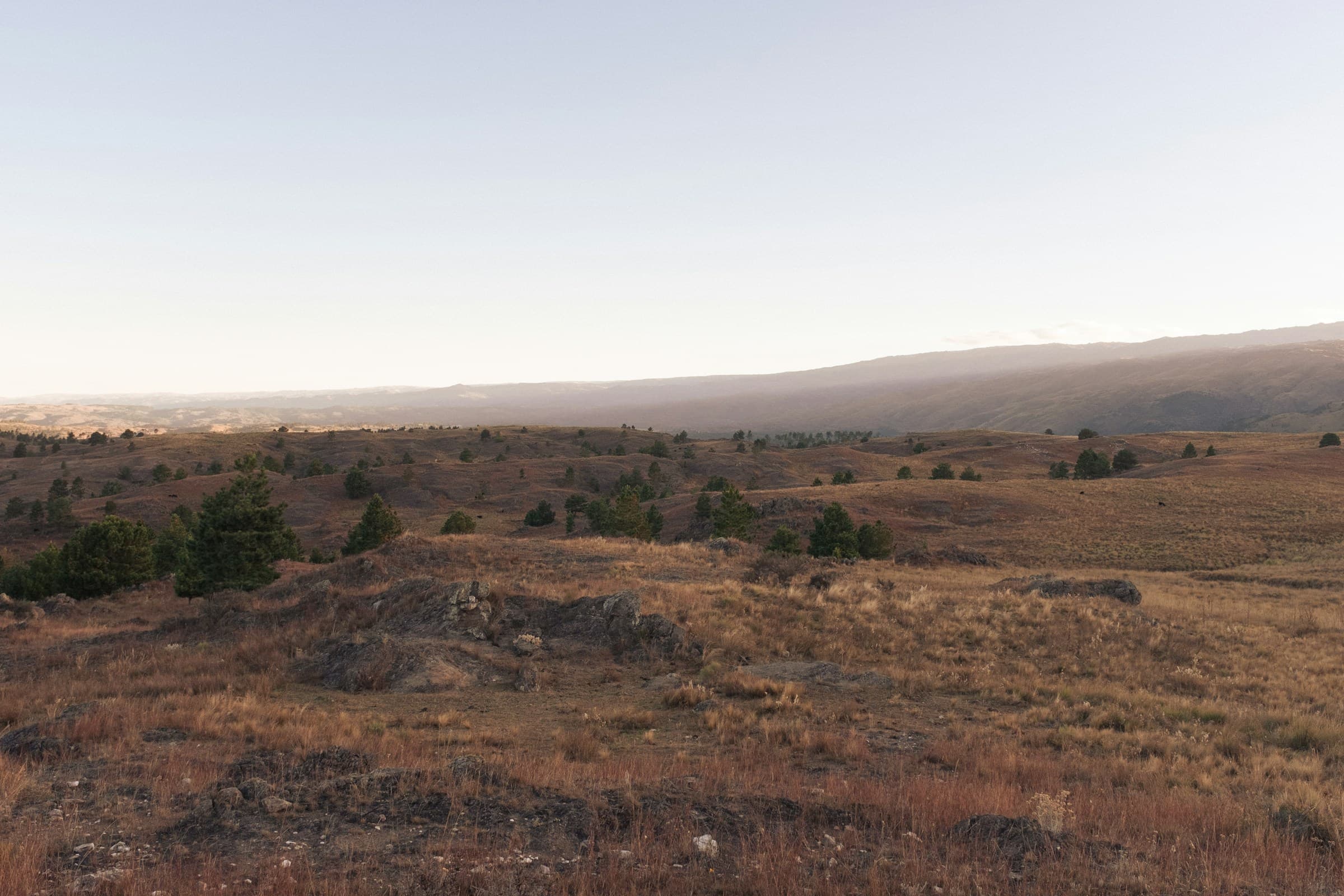 Campo argentino en el valle de Calamuchita, Córdoba
